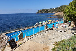 20200719_104905.jpg