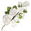 Thumbnail: White sugar rose spray with leaves