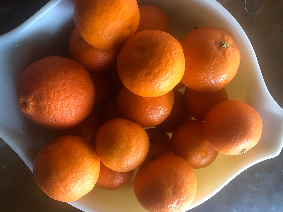 Thumbnail: Kumquat Fortunella obovata Fukushu