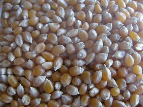 snow puff popcorn