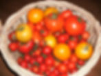 Thumbnail: The Clayton Farm Organic Chicken Manure