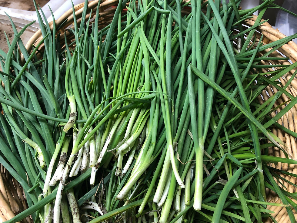Thumbnail: Perennial Garlic Chive Green (1 Set of 10 Plants)