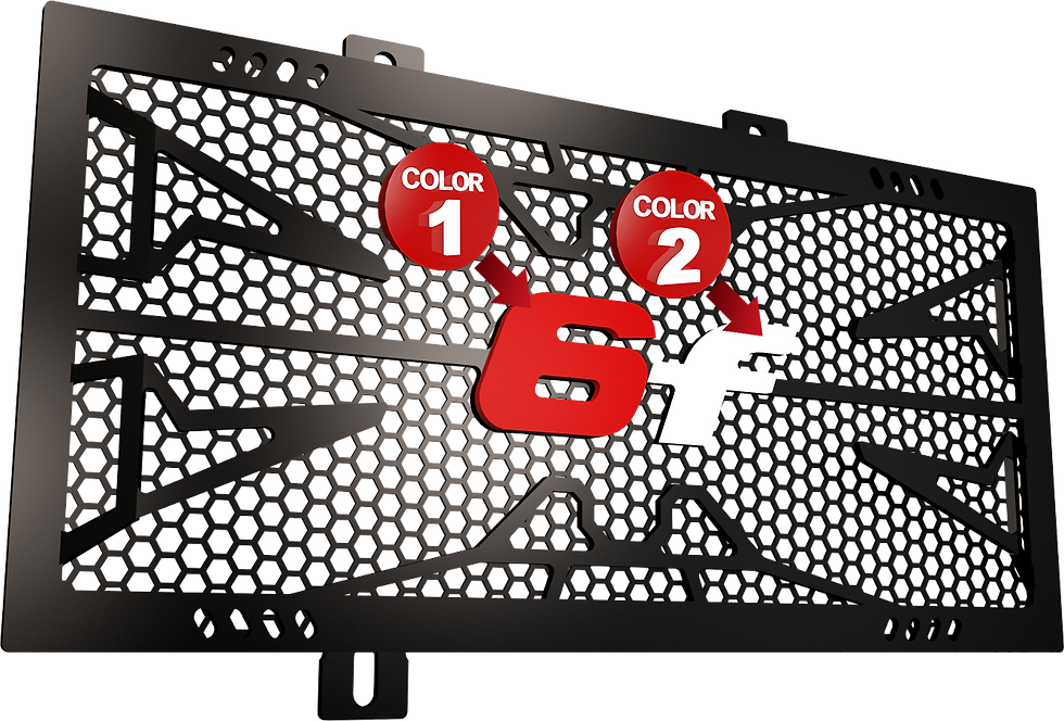 Thumbnail: ER6F Radiator Guard
