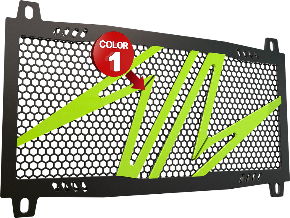 Miniatura: Z650 Protezione del radiatore