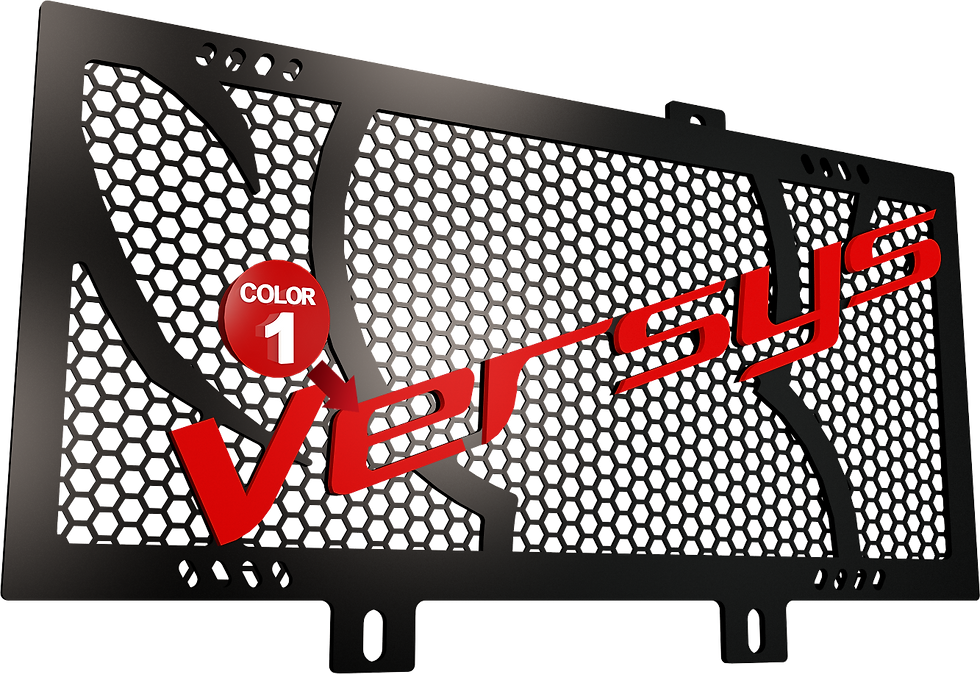 Miniatura: Protezione radiatore Versys 650 (2010-2014)