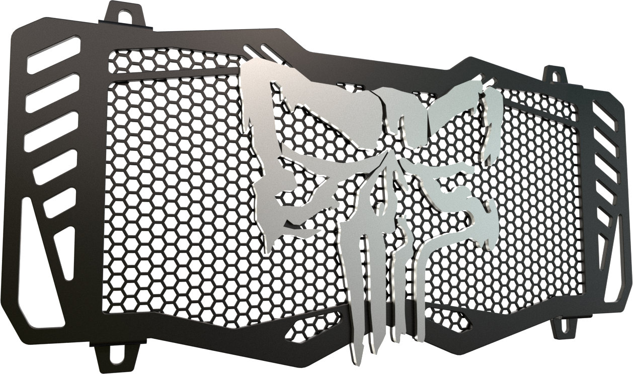 Protector de Radiador Z650 BIG PUNISHER