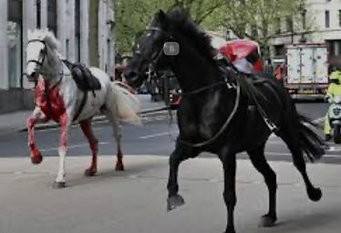 Cavalry horses running through London