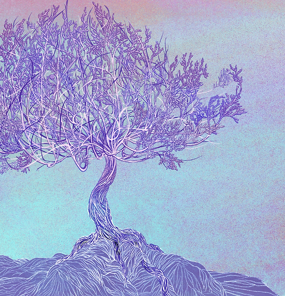 Purple 4.png