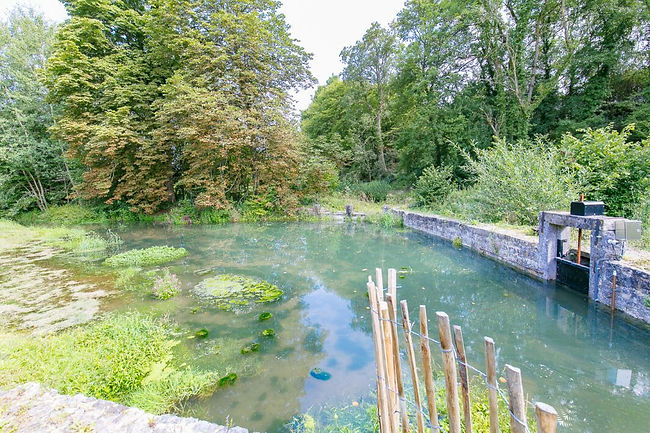 Jolie retenue d'eau entourée de verdure