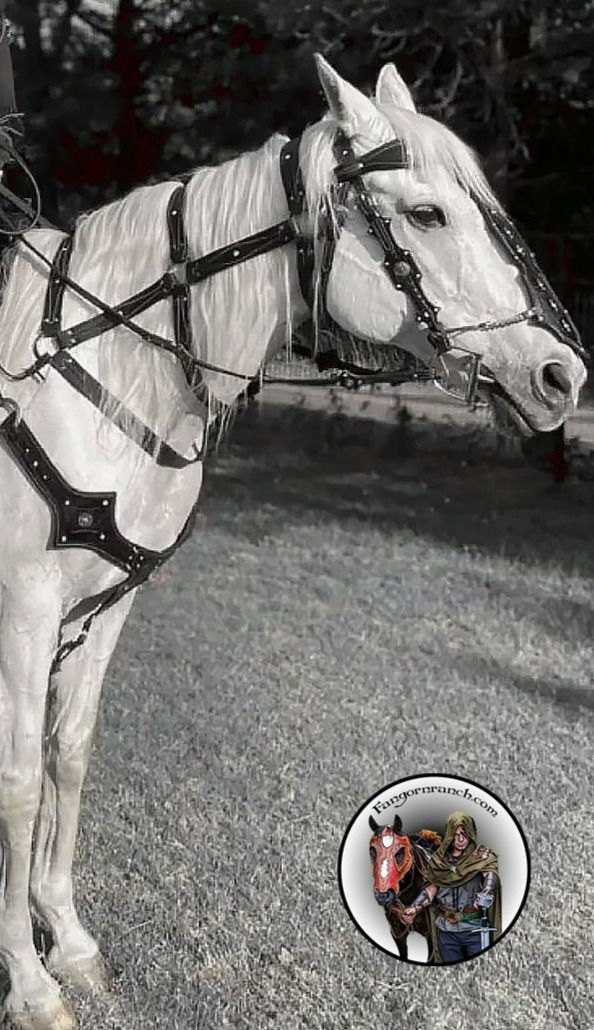 Прев'ю: Roäc's Prophecy Bridle/Chamfron