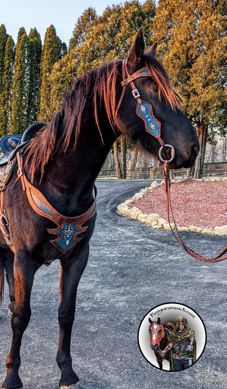 Thumbnail: Ice Princess Bridle