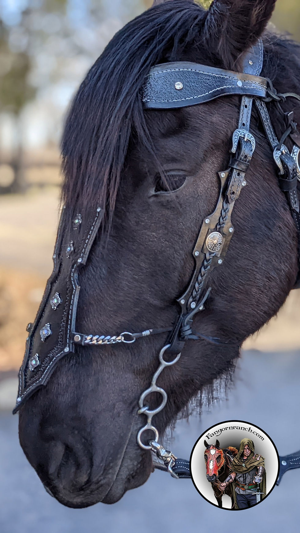 Прев'ю: Roäc's Prophecy Bridle/Chamfron
