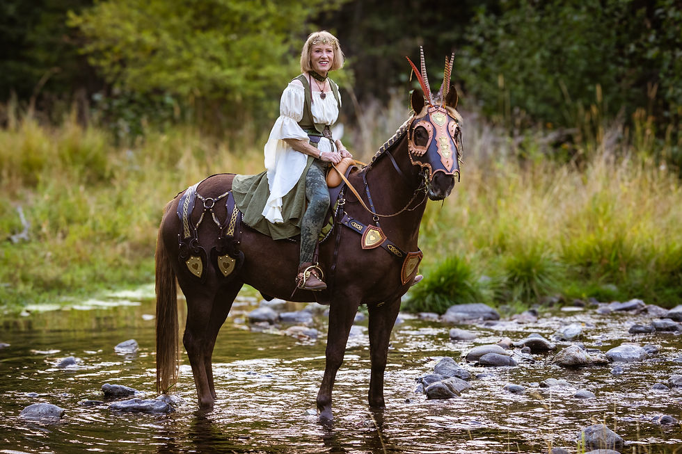 الصورة المصغرة: Elven Scout Chamfron Chocolate & Natural