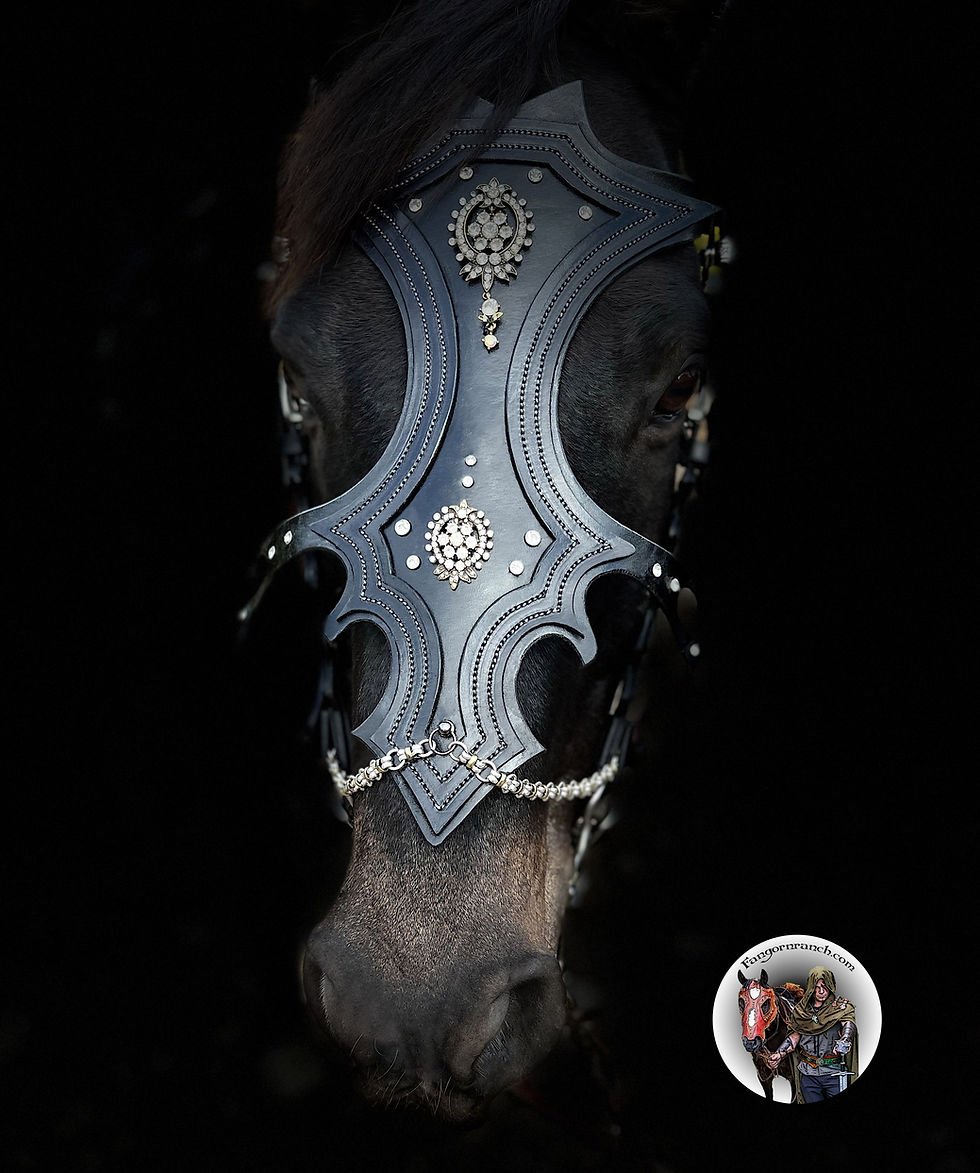 Miniature : Aeglos Shines Bridle/Chamfron Black