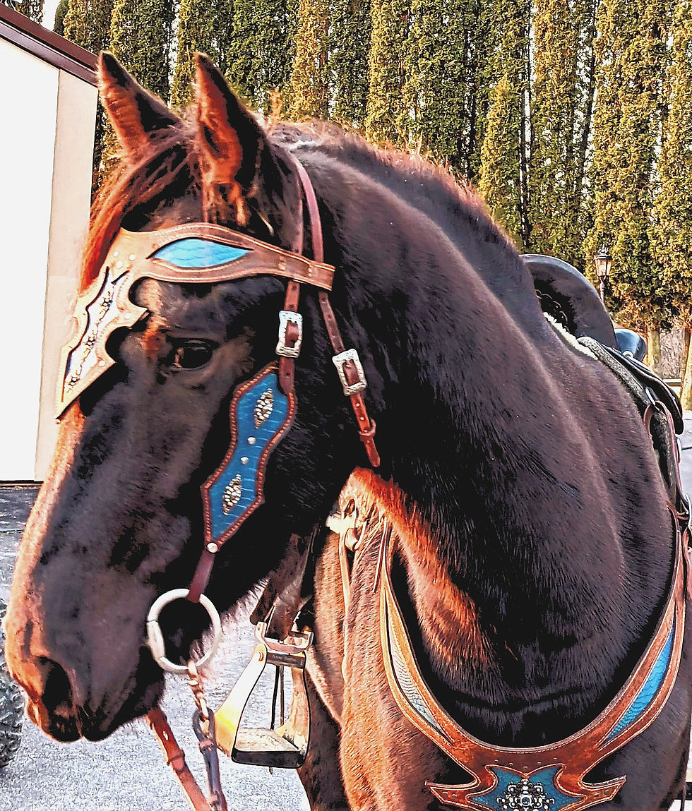 Thumbnail: Ice Princess