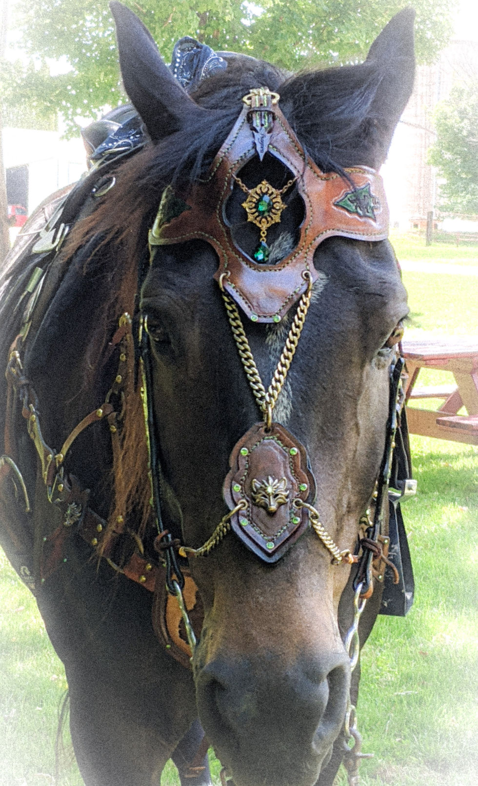 Thumbnail: Fox Archer