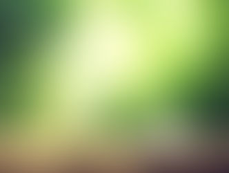 5 Steps to a Much Needed Break