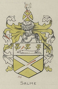 Blason famille de Salme.