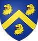 de Salmon family arms.