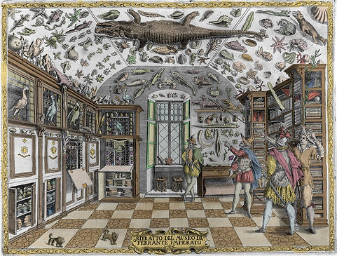 Museum of curiosities of Ferrante Imperato.