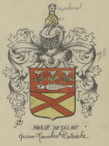 Coat of arms, armoiries, famille de Salme.