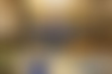 Descoberta encerra mistério sobre origem do LSA encontrado nas Ipomoea