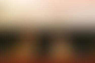 AUDIÊNCIA PÚBLICA SOBRE AYAHUASCA NO ACRE DEBATE AÇÕES E OMISSÕES DO ESTADO