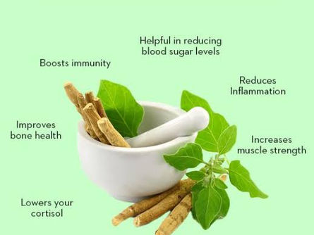 Ashwagandha or Ginseng