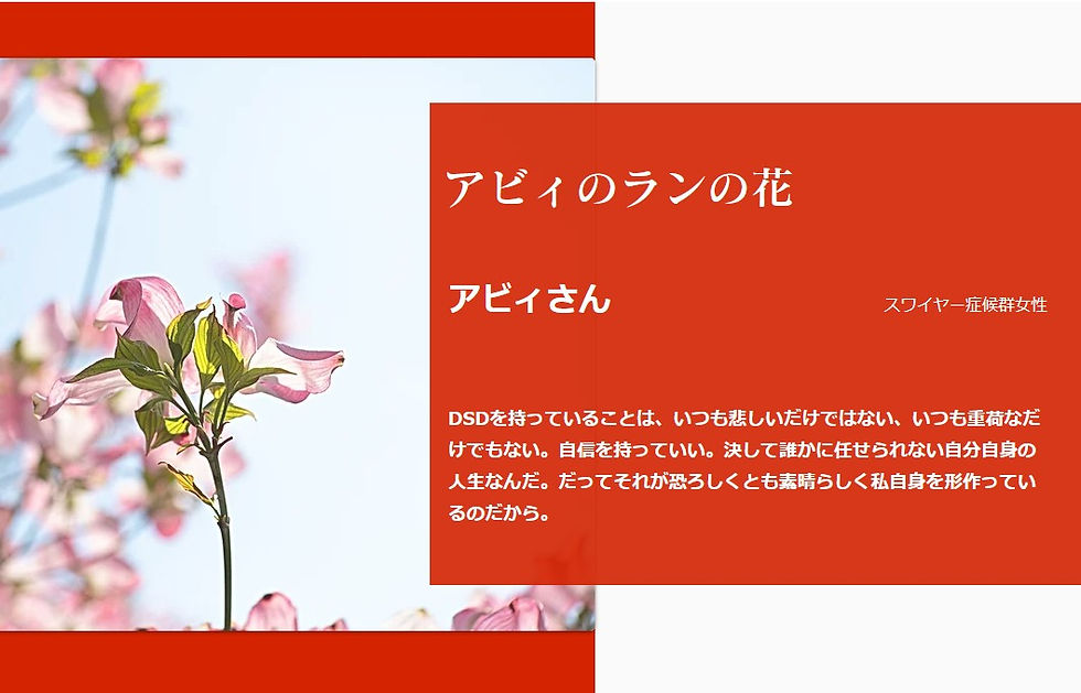 アビィのランの花