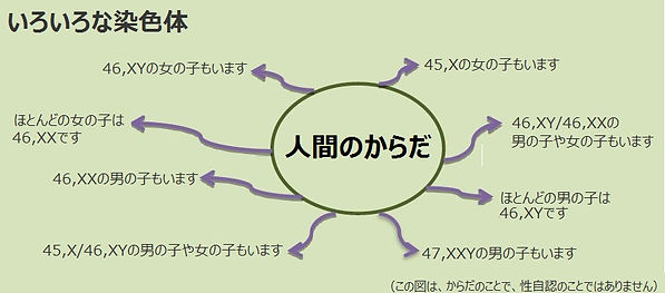 性分化疾患:様々な染色体