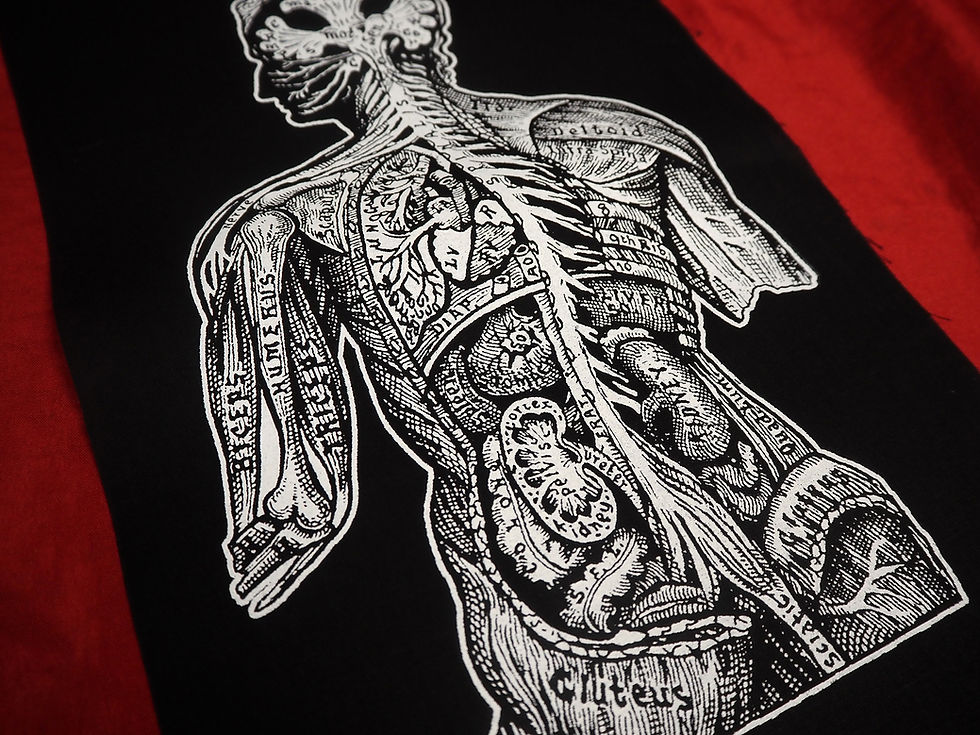 Thumbnail: Anatomy Back Patch