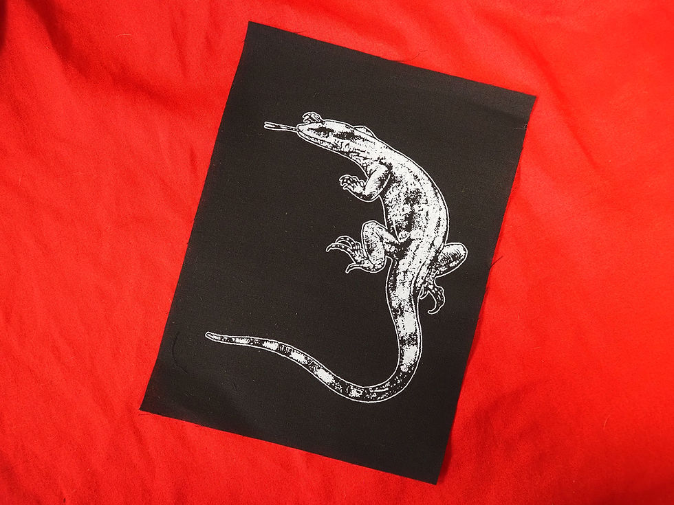 Thumbnail: SALE Lizard Patch