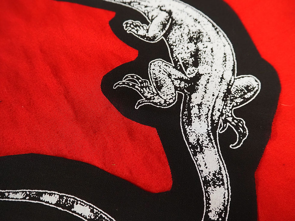 Thumbnail: SALE Lizard Patch