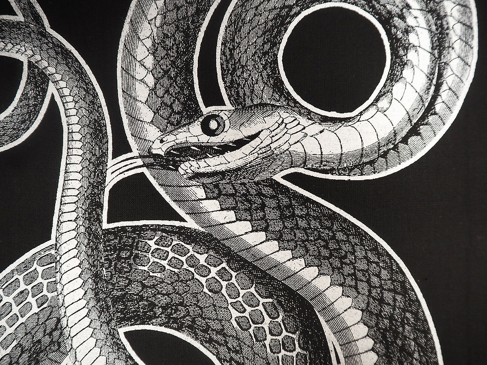 Thumbnail: SALE Snake Back Patch