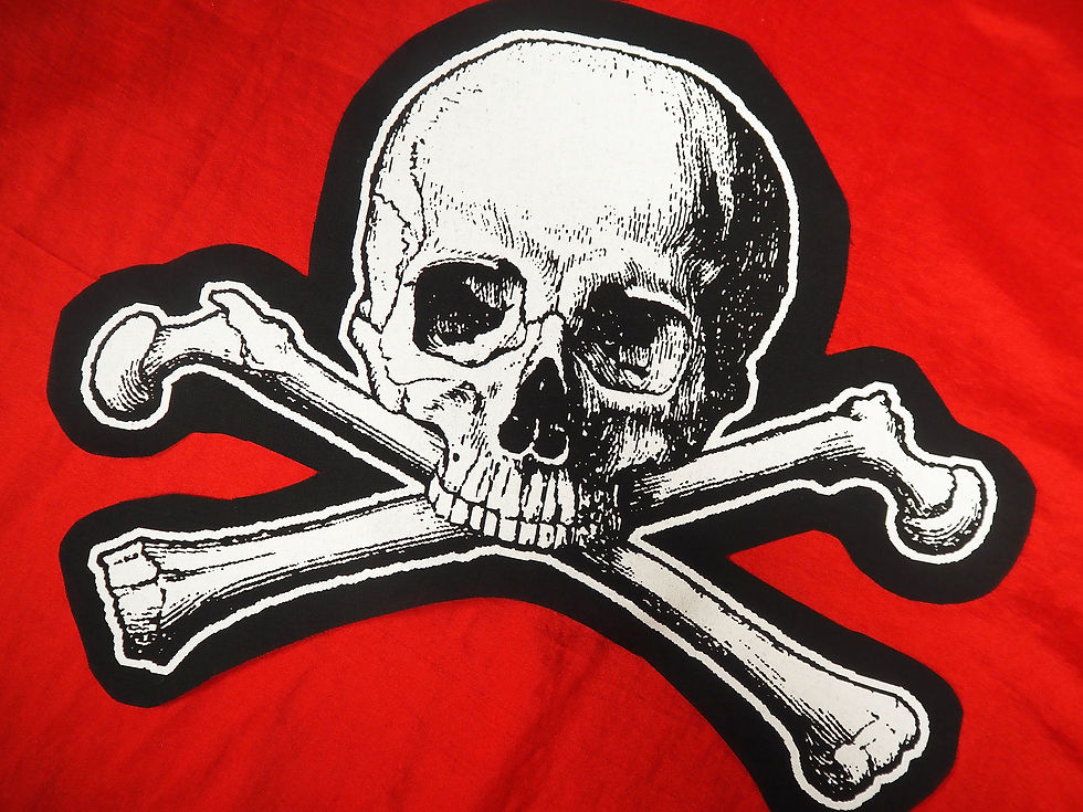 Thumbnail: Skull and Crossbones Back Patch