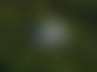 Tips for Obtaining the Best Injury Settlement