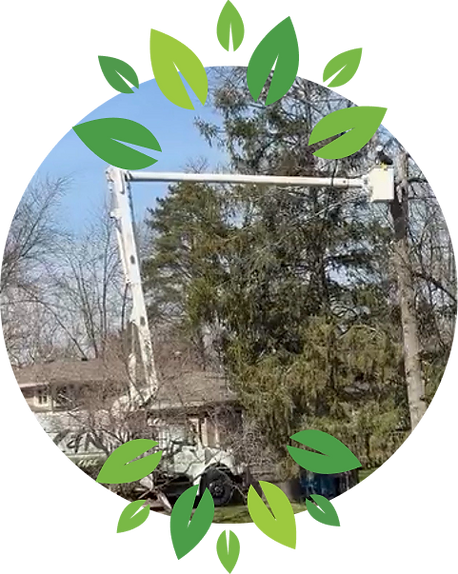 Group 1261155569 (4).png
