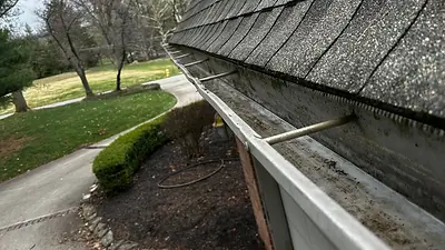 Empty Gutters.webp
