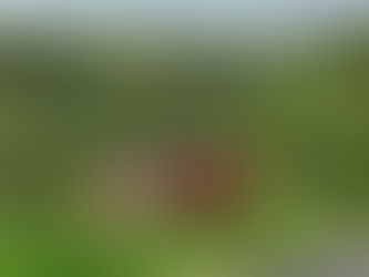 Permanent Disability After a Car Accident: What Are Your Options?