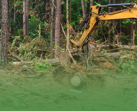 lot & land clearing (2).jpg