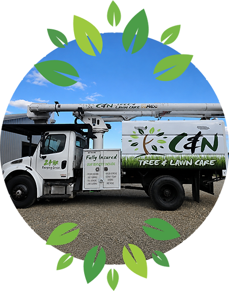 Group 1261155569 (10).png