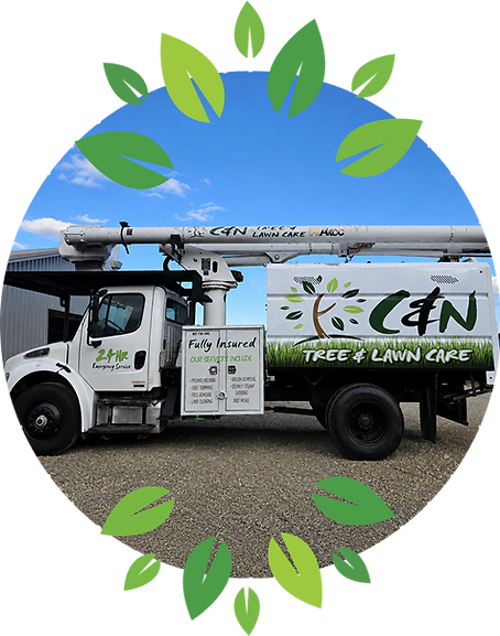 Group 1261155569 (10).png