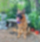 IMG_3839.jpeg