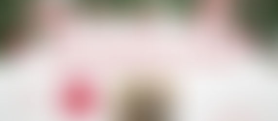 ✨1 jour … 1 surprise!✨ Jour 6-Une boîte triangulaire moderne et pleine de douceur, signée Delphine.