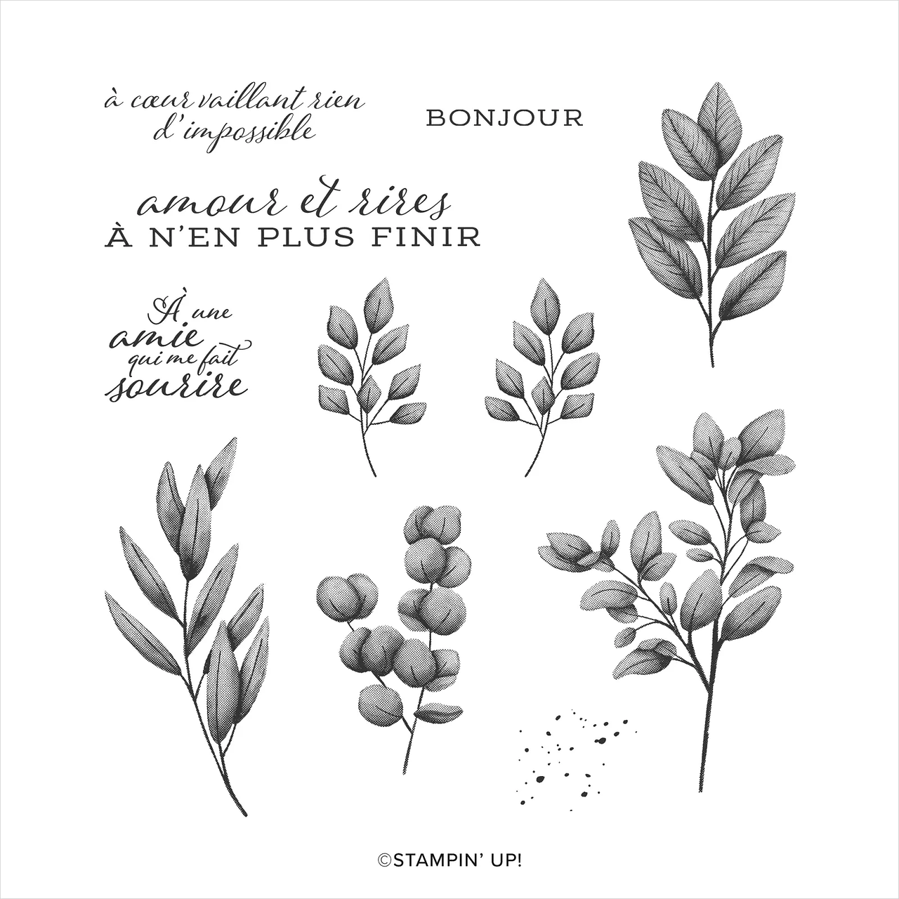 set émotions effeuillées