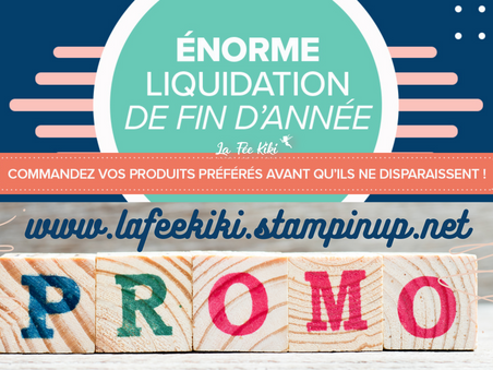 Énorme Promotion sur le catalogue Saisonnier
