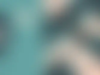 Inscription Gratuite à la Journée Mondiale de la Carterie.