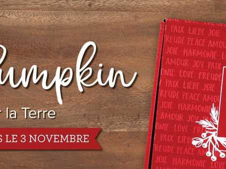 Paper Pumpkin de Noël est arrivé! Au prix de 26€00