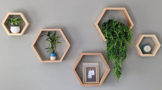 Hexagon shelves.jpg