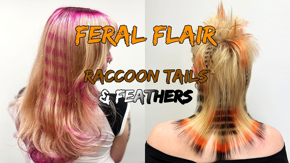Feral Flair: Raccoon Tails & Feathers - Hair Placement Look & Learn